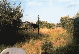 Wilderness